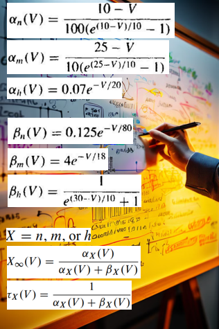 The Hodgkin–Huxley Model
