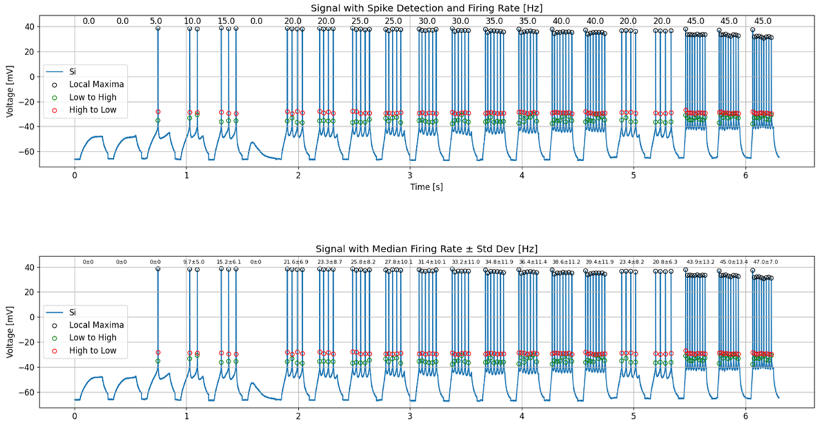 Intra-cellular recordings in a current-clamped cell